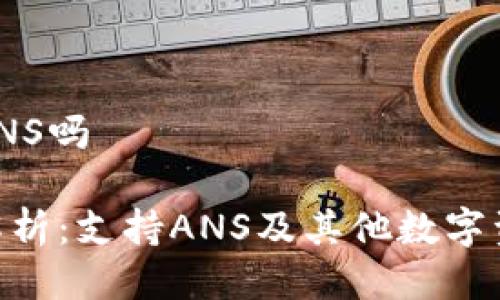 imToken钱包支持ANS吗

imToken钱包全面解析：支持ANS及其他数字资产的优势与安全性