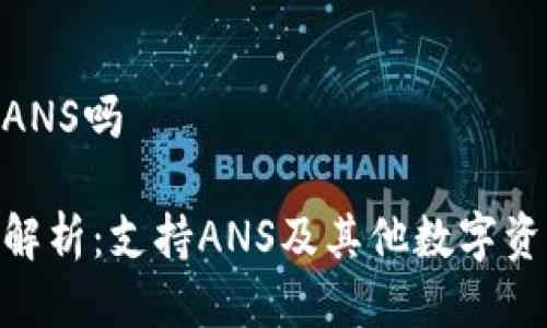 imToken钱包支持ANS吗

imToken钱包全面解析：支持ANS及其他数字资产的优势与安全性